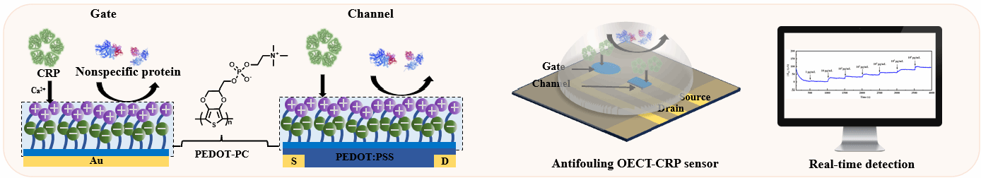 GA黄金甲·(中国集团)官方网站