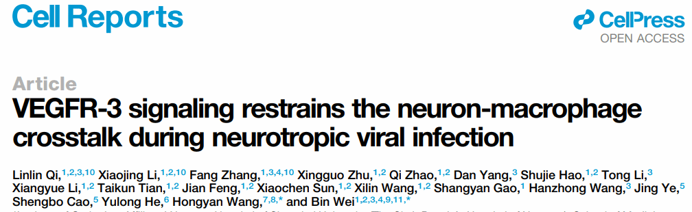 A6FDFAAD36FA95A4A175D3A58C0_79BB7119_6B5A