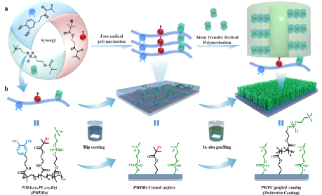 C692436EC2BCBD8E2C5329F77C7_BCCA3A05_191D3