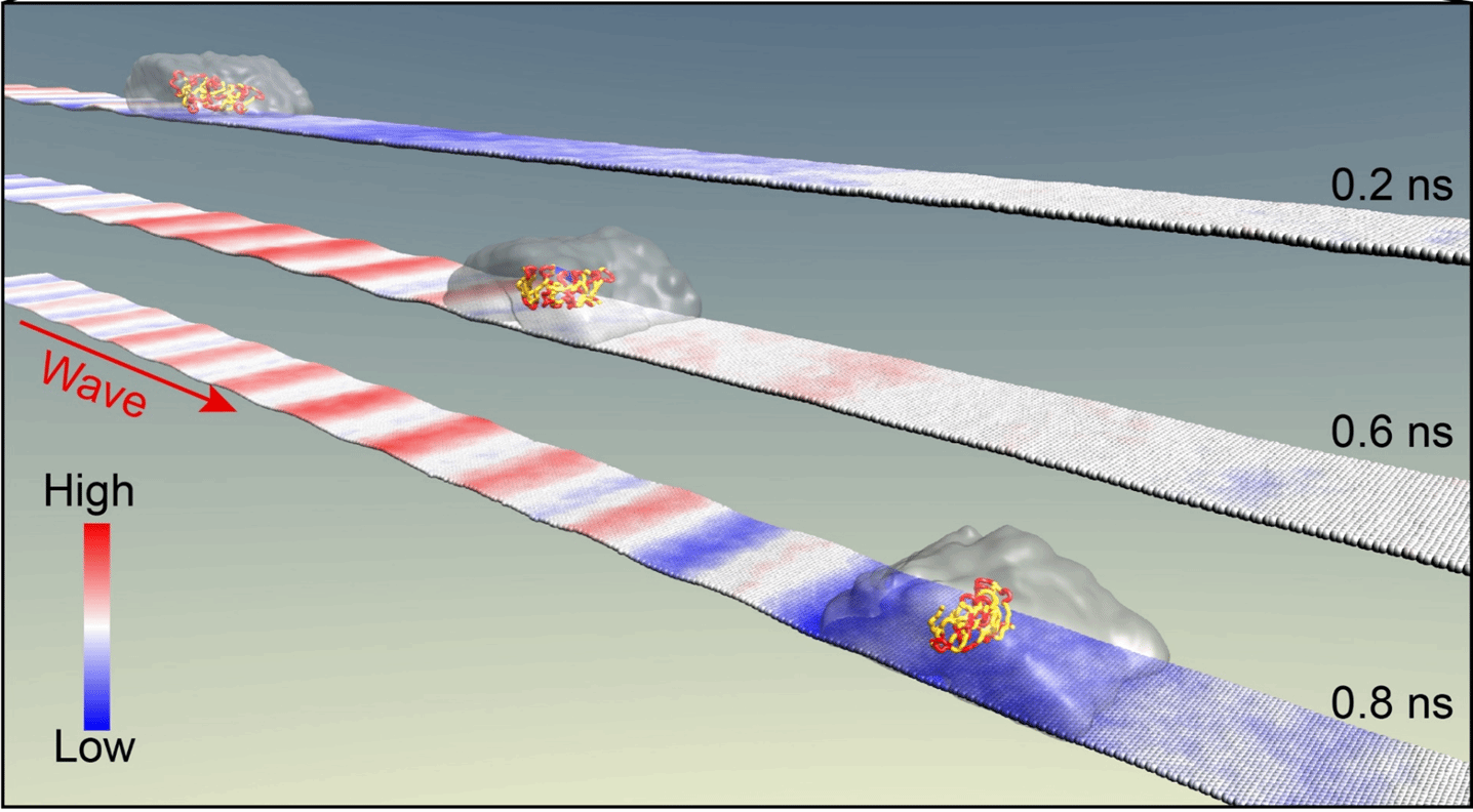 GA黄金甲·(中国集团)官方网站