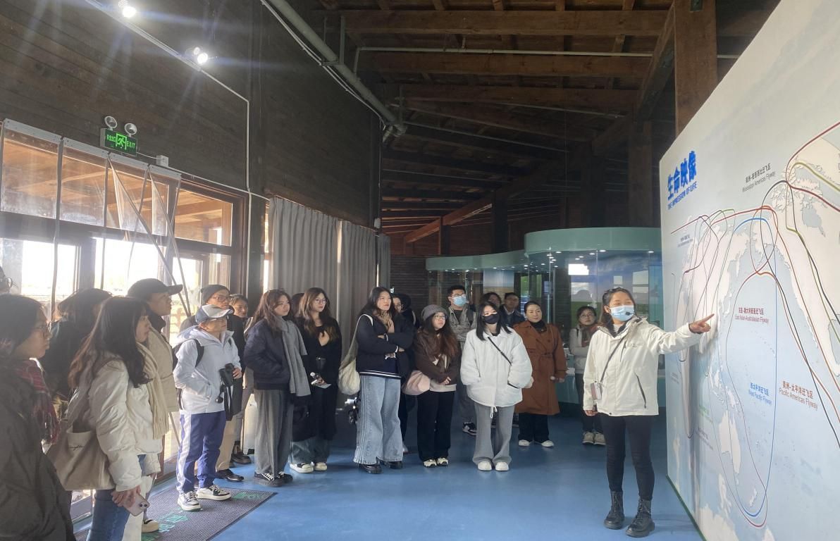 061A4507898A0074BE3EB81E663_16C9037F_1F562