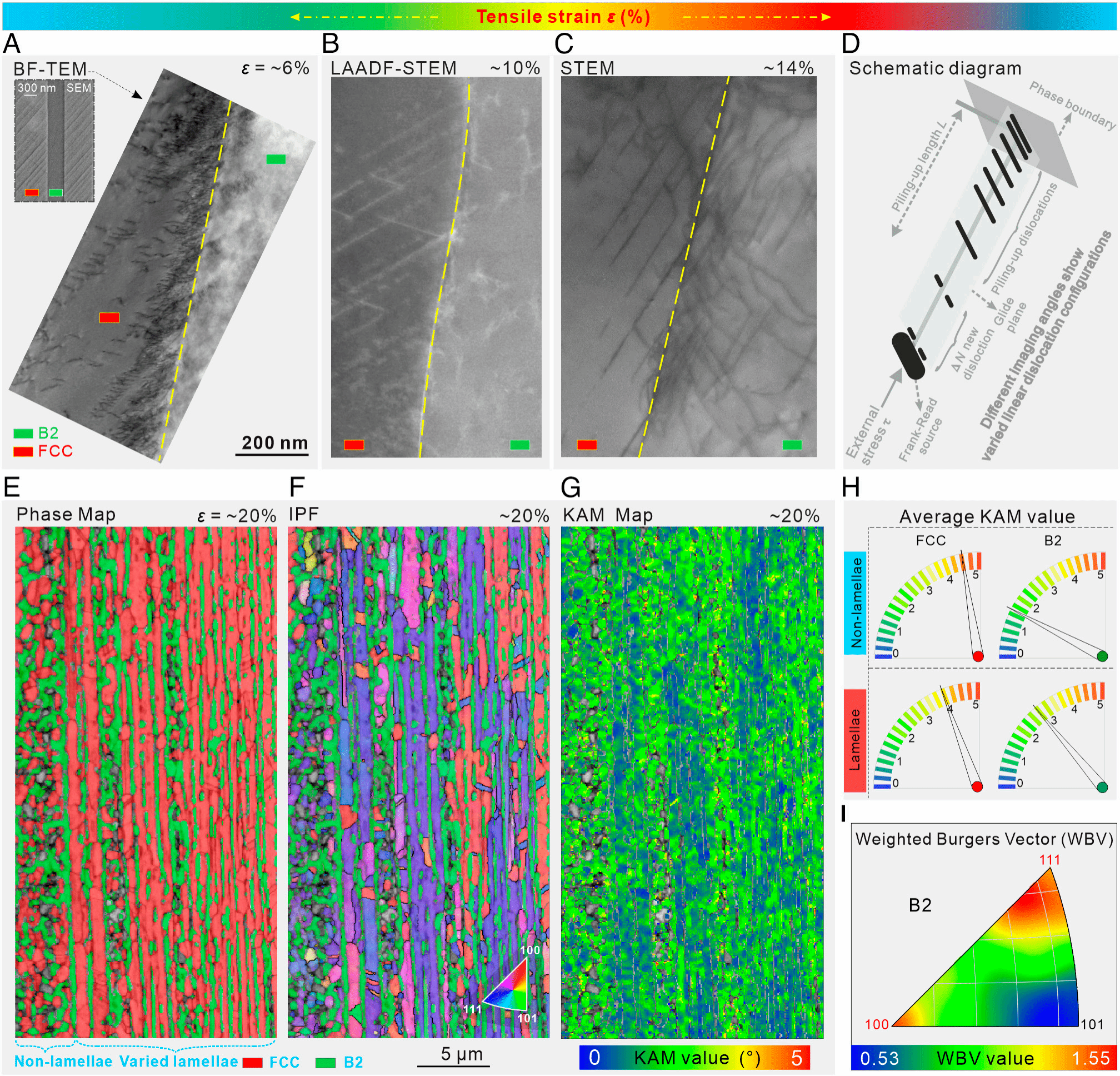 GA黄金甲·(中国集团)官方网站
