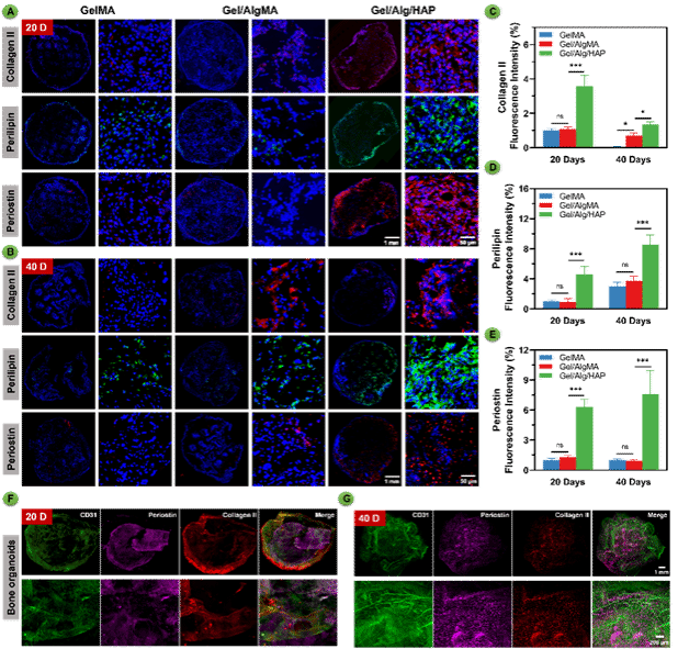 GA黄金甲·(中国集团)官方网站