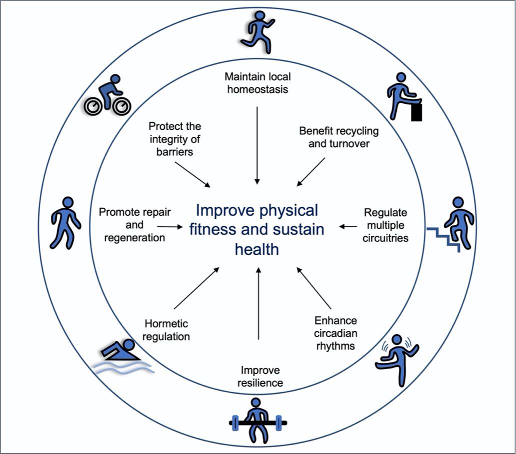 3765A24AEBAD741567E991FCCC9_DDB0A136_16F4F