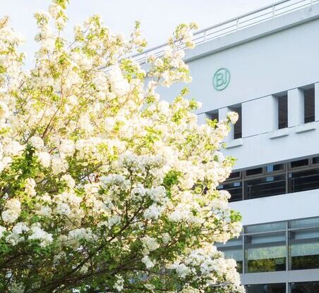 GA黄金甲·(中国集团)官方网站