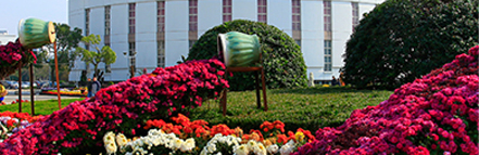 GA黄金甲·(中国集团)官方网站