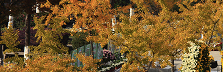 GA黄金甲·(中国集团)官方网站