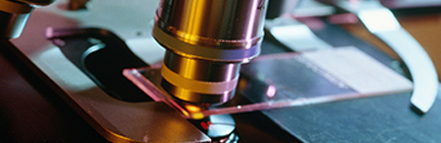 GA黄金甲·(中国集团)官方网站